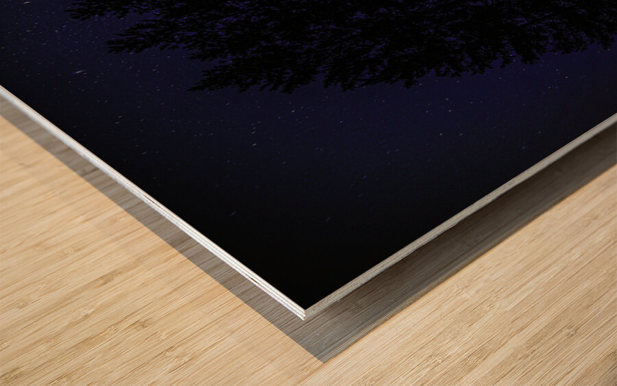 JBS 4719  Wood print