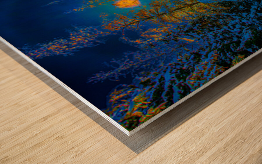 JBS 4968  Wood print