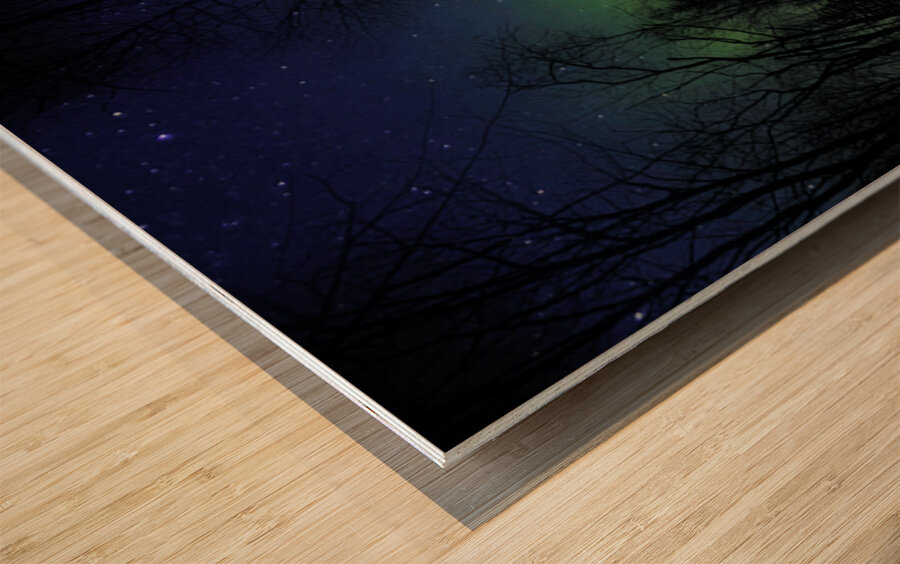 JBS 9808 1 Wood print