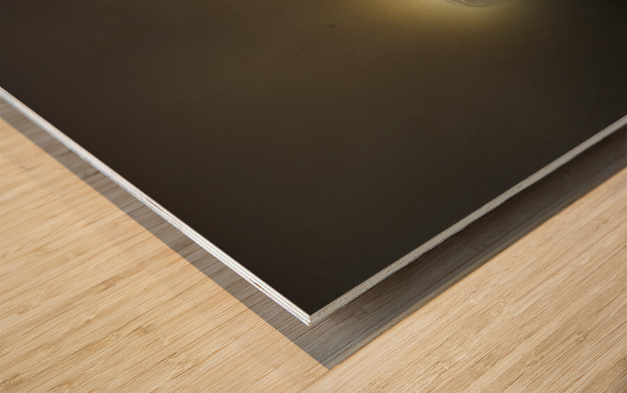 JBS 4756  Wood print