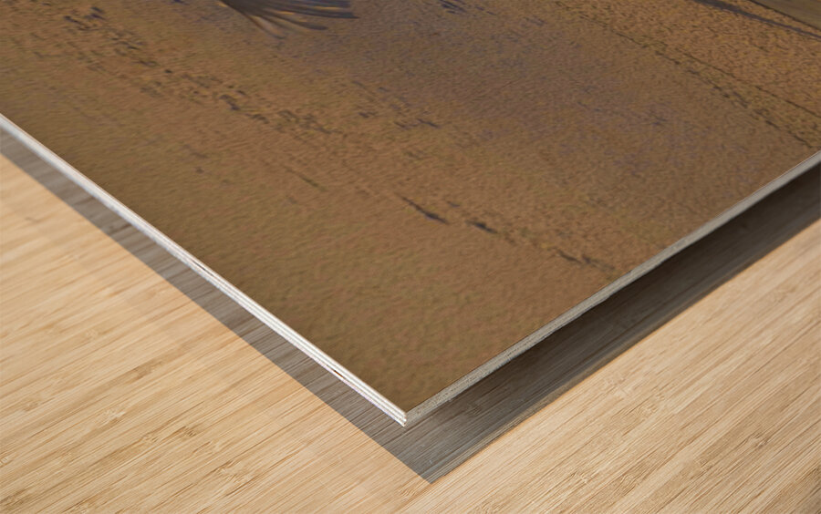 DSC 5806 2 Wood print