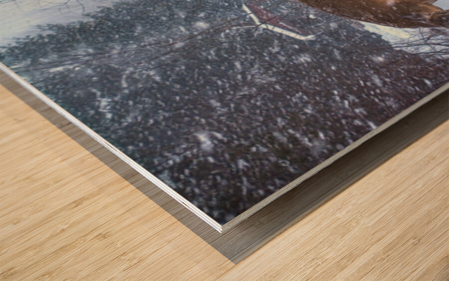 JBS 3204 2  Wood print