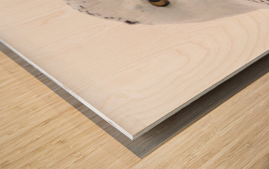 DSC 1876 2 Wood print