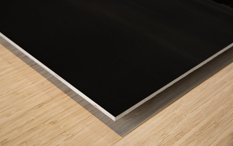 JBS 0143  Wood print