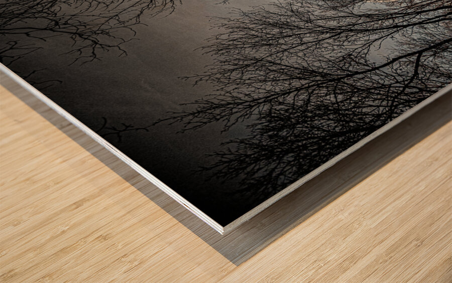 JBS 0236  Wood print