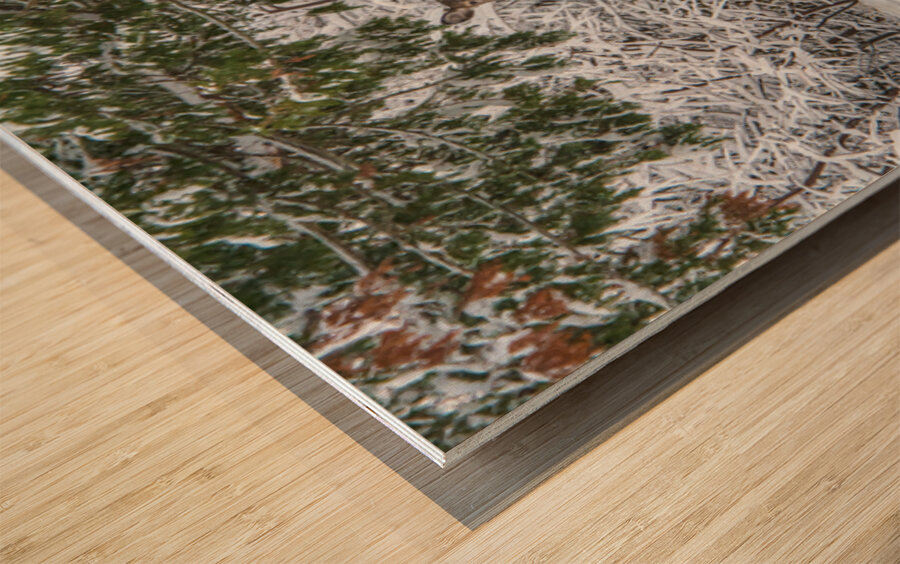 JBS 7888  Wood print