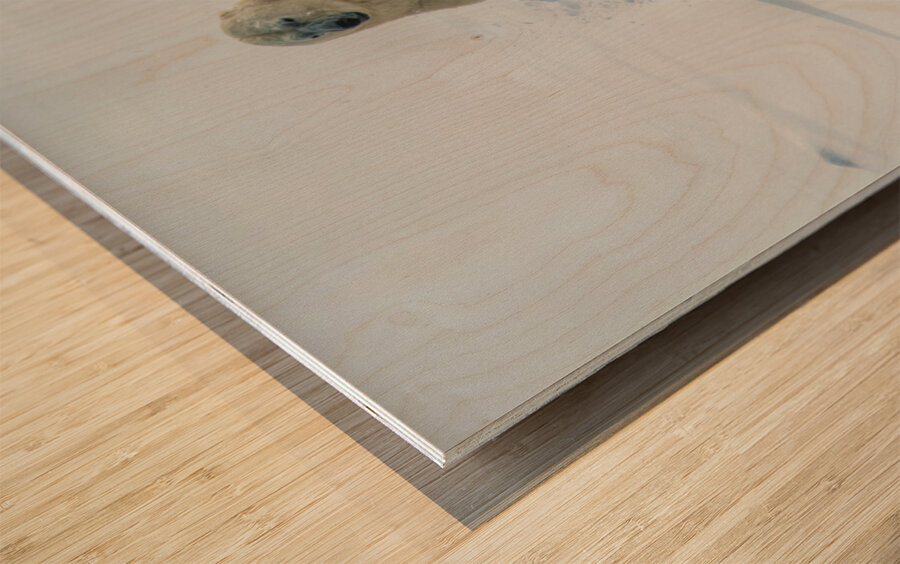 JBS 9346 2 Wood print