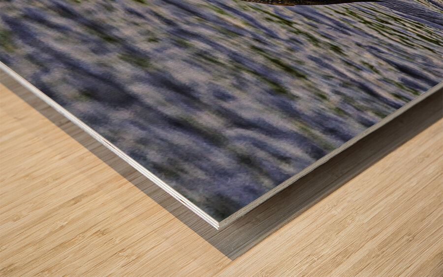 JBS 23862 Wood print