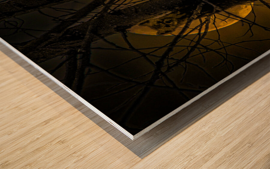 JBS 52971 Wood print