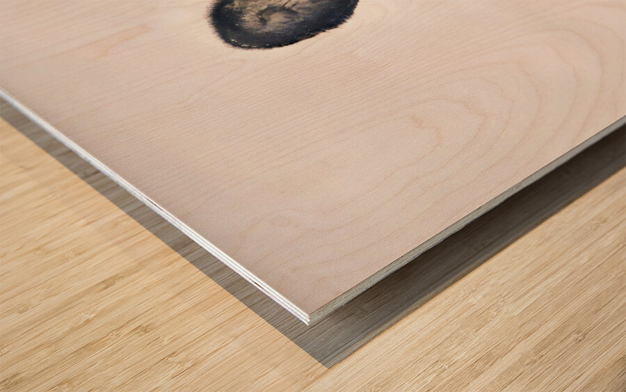 JBS 5691  Wood print