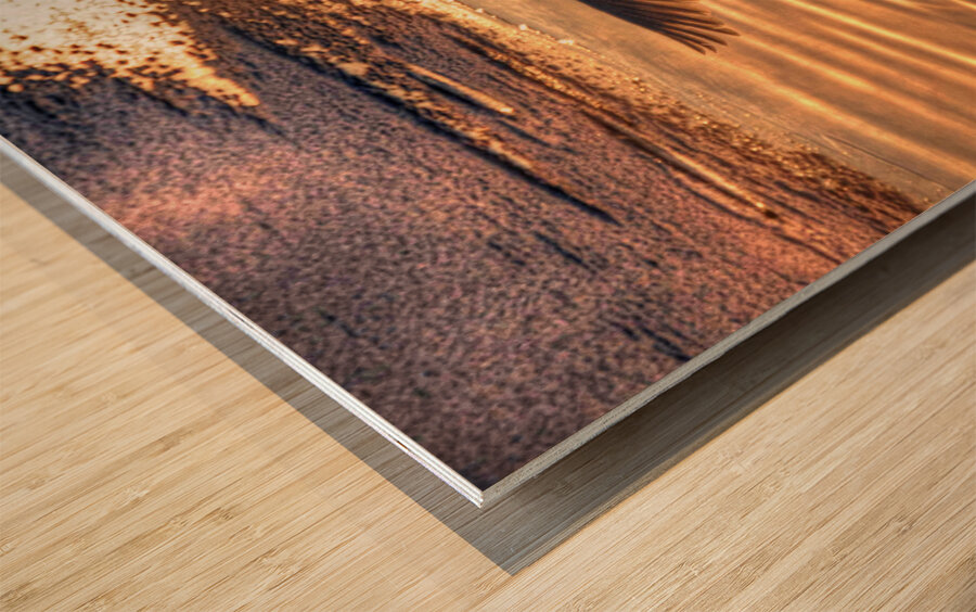 JBS 5877  Wood print