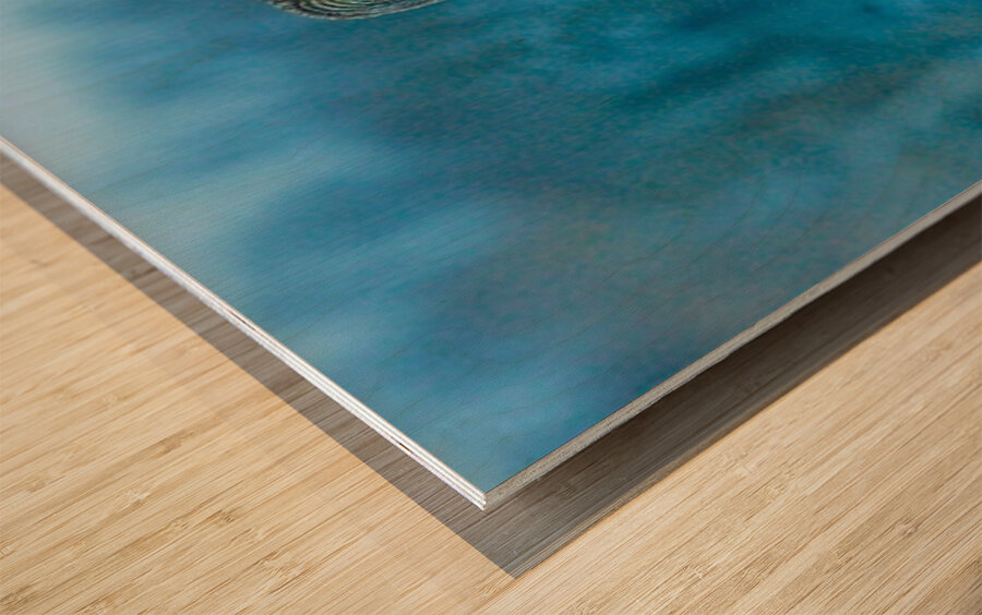 jbs 5420-2 Wood print