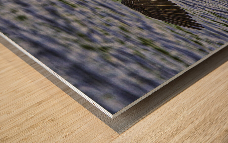 JBS 23852 Wood print