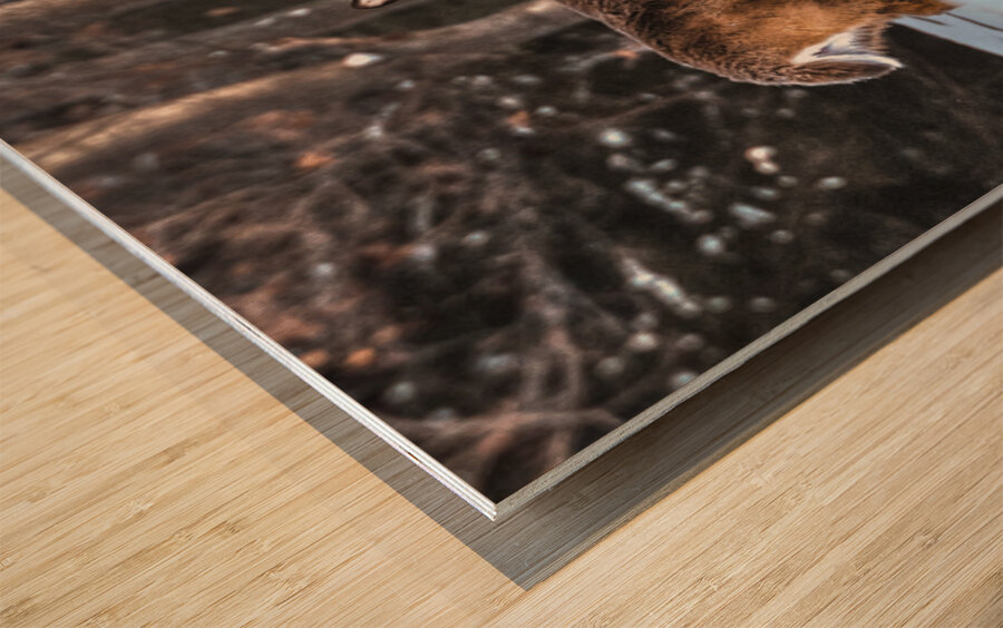 JBS 5494  Wood print