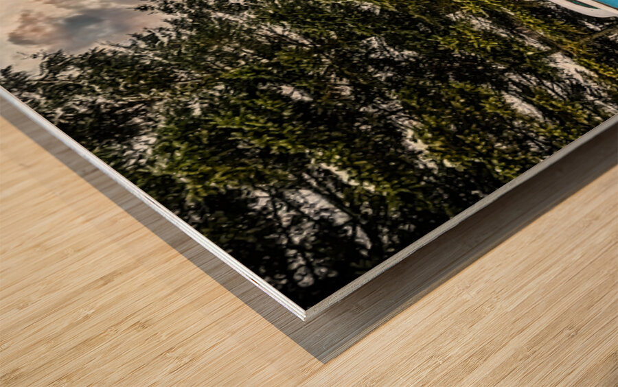 ZJS 9144 Edit 2 Wood print